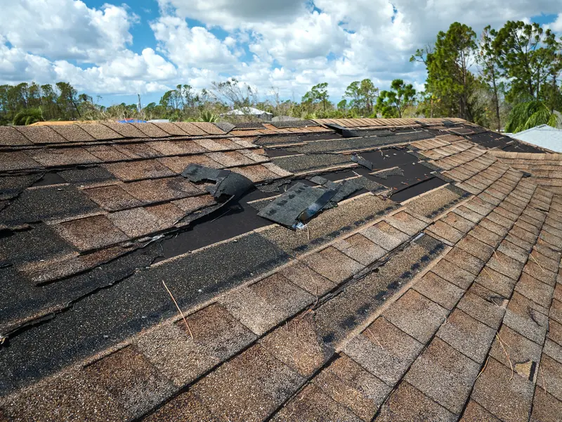 Roof leak repair Calabasas CA